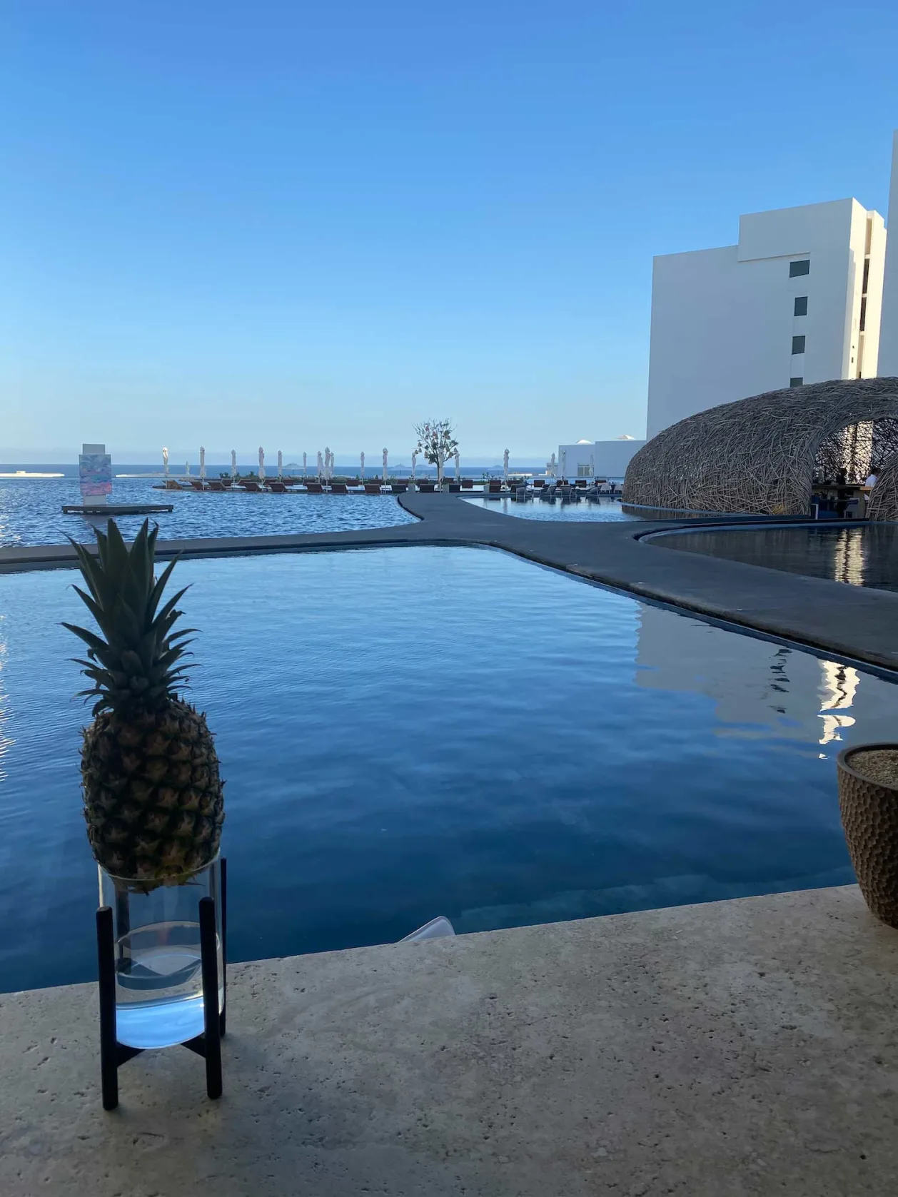 Los Cabos Spa Viceroy Pool